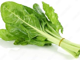 Qualcosadicucina- Pulire le Bietolebietola